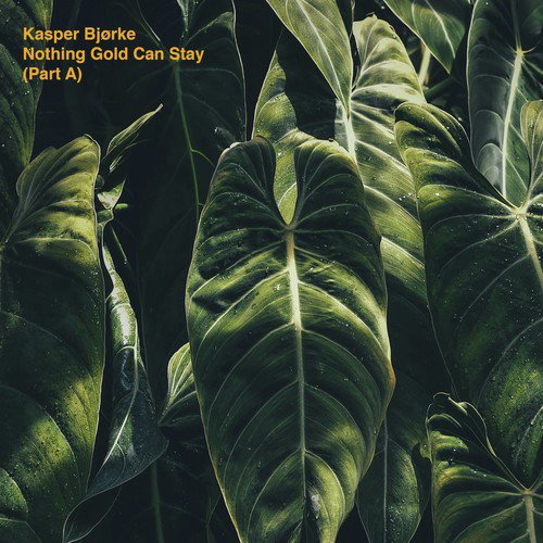 Seabird cover art