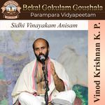 Sidhi Vinayakam Anisam