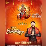 Tera Rang Sherawaliye
