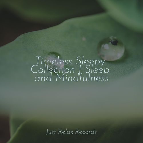 Timeless Sleepy Collection | Sleep and Mindfulness_poster_image