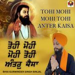 Tohi Mohi Mohi Tohi Anter Kaisa