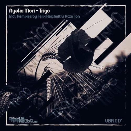 Trigo (Atze Ton Remix) cover art