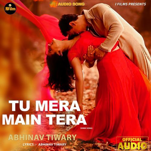 Tu Mera Main Tera