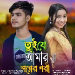 Tui Je Amar Shopner Pori