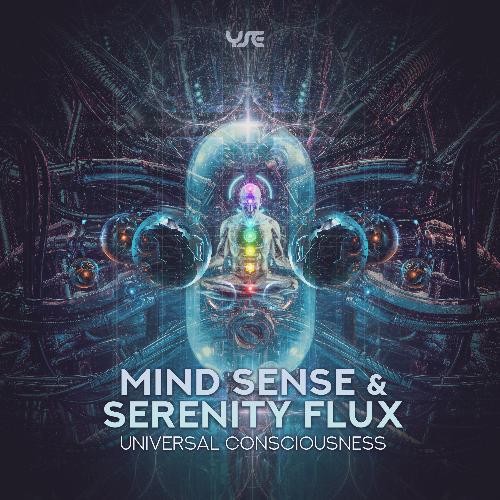 Universal Consciousness