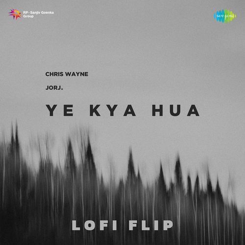 Yeh Kya Hua - Lofi Flip