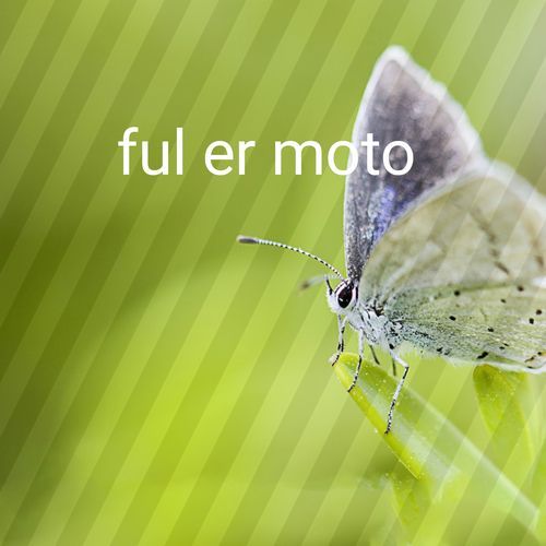 ful er moto