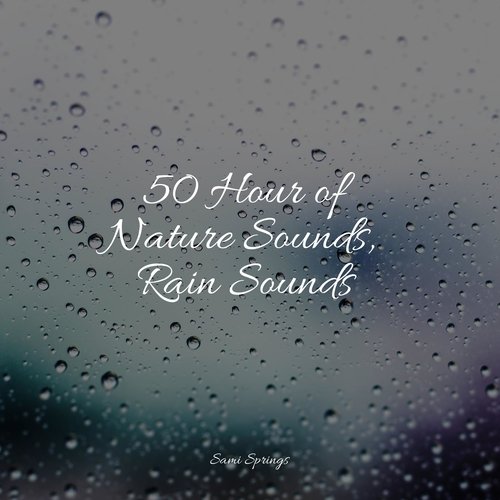 50 Hour of Nature Sounds, Rain Sounds