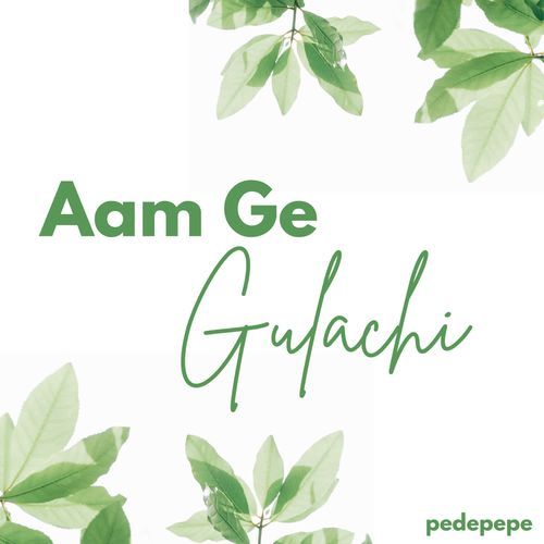 Aam Ge Gulachi