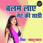 Balam Laye Net Ki Saree