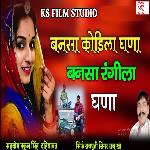 Banna Sa Kodila Ghana Bannasa Rangila Ghana