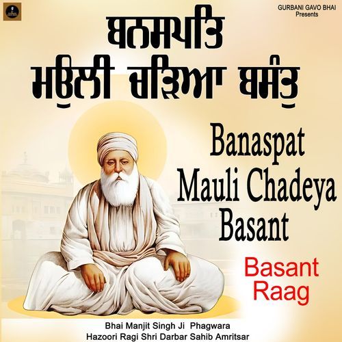 Basant Raag Banaspat Mauli Chadeya Basant