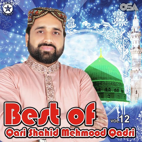 https://c.saavncdn.com/463/Best-Of-Qari-Shahid-Mehmood-Qadri-Vol-12-Urdu-2014-20230104101508-500x500.jpg