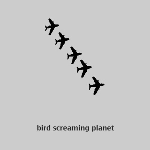Bird Screaming Planet cover art
