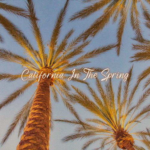 California In The Spring_poster_image