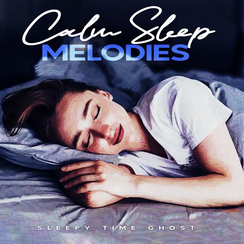 Calm Sleep Melodies_poster_image