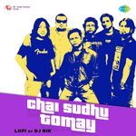 Chai Sudhu Tomay - Lofi