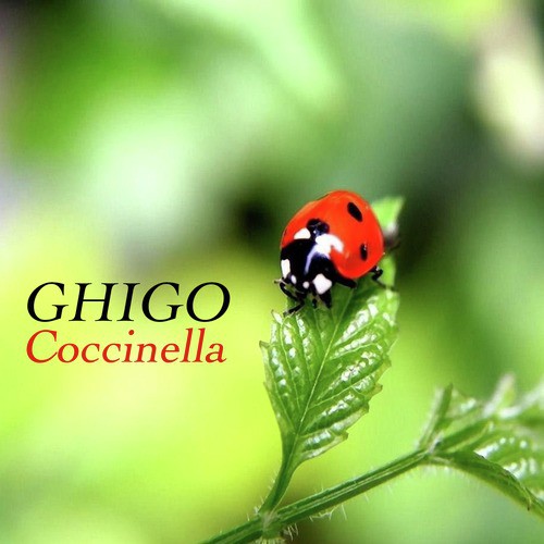 Coccinella