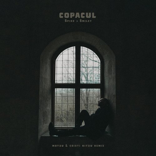 Copacul (Motzu &amp; Cristi Nitzu Remix)_poster_image