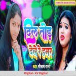 Dil Tor Dele Re Hamar