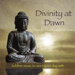 Raga Bairagi (Drut Gat in Ektal)