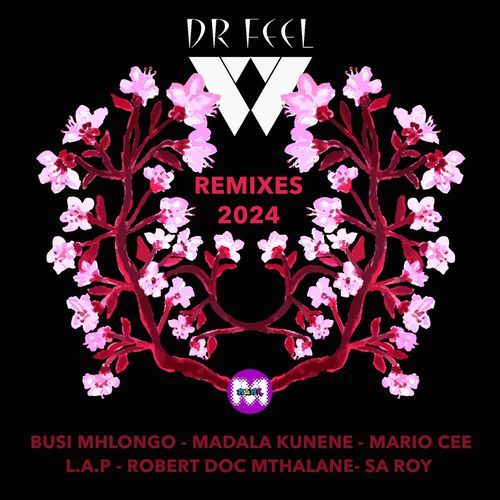 Dr Feel M2KR Remixes 2024_poster_image