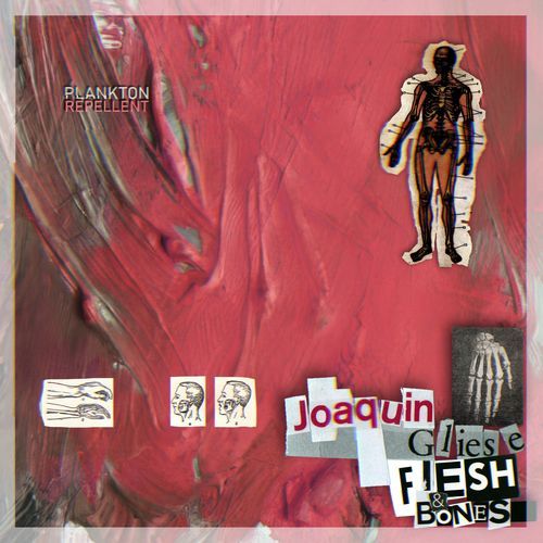 Flesh & Bones (Nat Queen Kult Remix) cover art