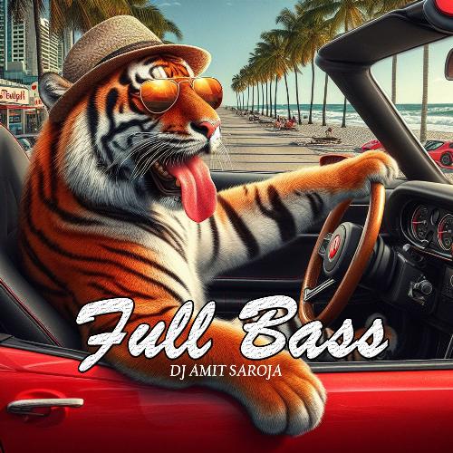 Full Bass_poster_image