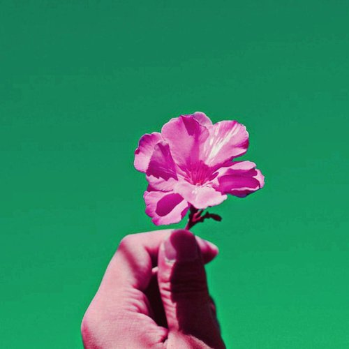 Mertens cover art