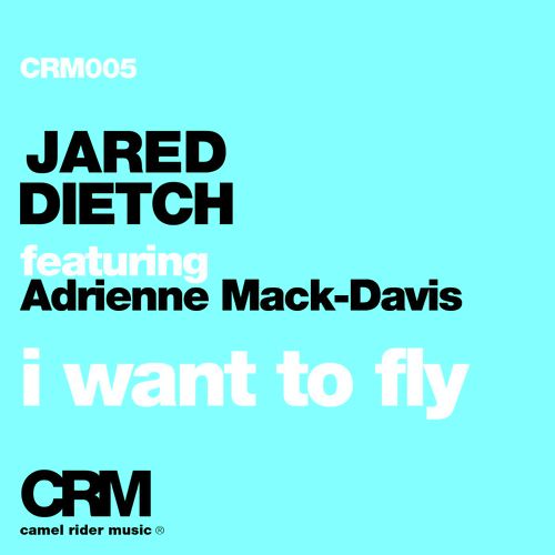 I Want to Fly (feat. Adrienne Mack-Davis)_poster_image