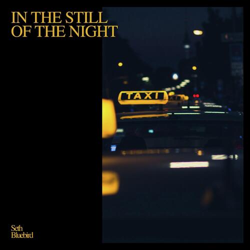 In the Still of the Night cover art