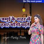 Jamui Ke Shahar Me Hamar Mougi Padhatai