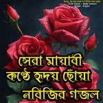 Ke Aslo Bole Ei Prithibi Holo Ujala  -Cute Voice - Male Version