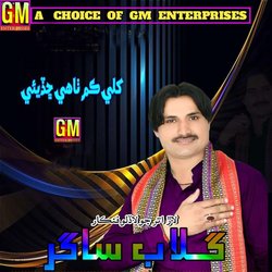 Hedi Saari Mehfil Me Toon