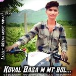 Koyal Baga m mt bol
