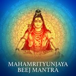 Mahamrityunjaya Beej Mantra