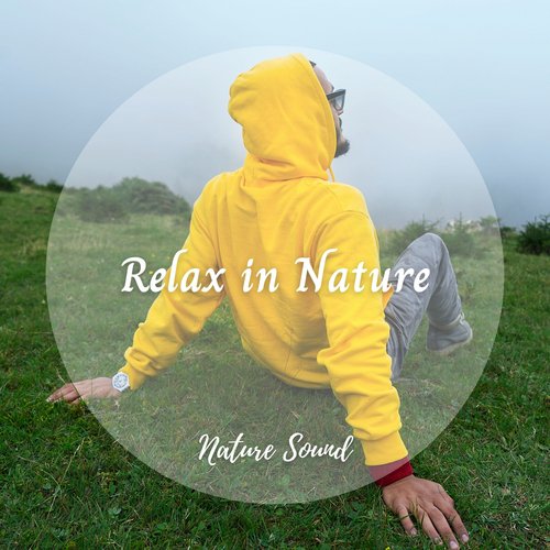 Nature Sound: Relax in Nature_poster_image