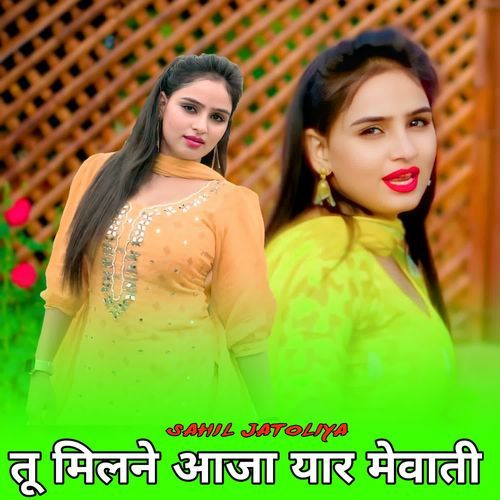 तू मिलने आजा यार मेवाती