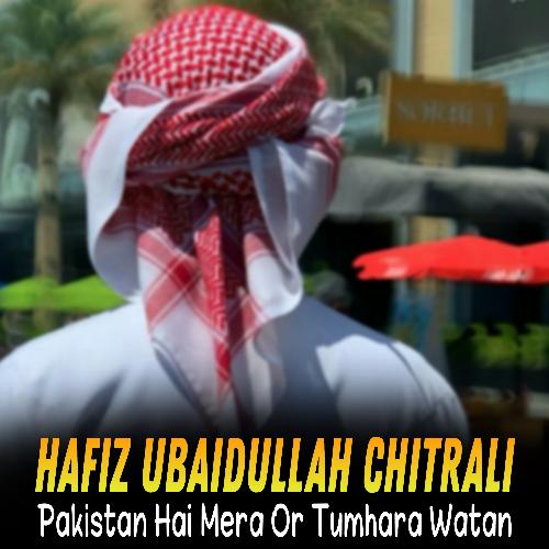 Pakistan Hai Mera Or Tumhara Watan