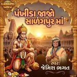 Pankhida Jajo Salangpur Ma