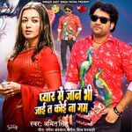 Pyar Me Jaan Bhi Jaye Ta Koi Na Gam