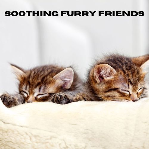 Soothing Furry Friends_poster_image