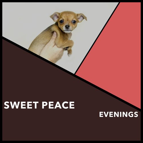 Refined Calming Dog Sounds cover art