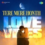 Tere Mere Honth - Love Vibes
