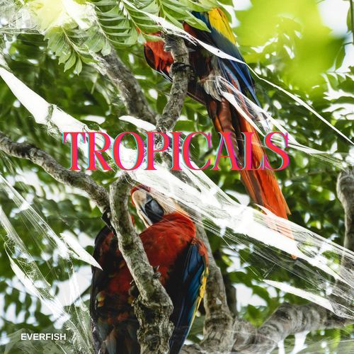 Tropicals