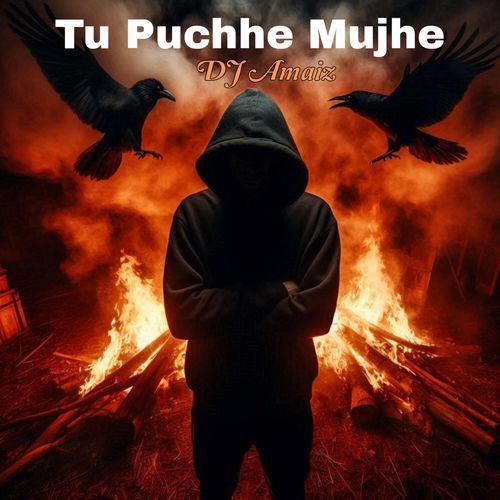Tu Puchhe Mujhe cover art