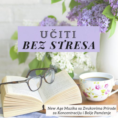 Razumjeti Sve cover art