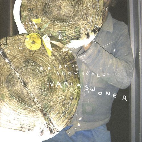 Vindu cover art