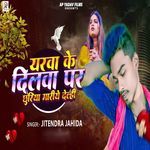 Yarva Ke Dilwa Par Chhuriya Mariye Delhi