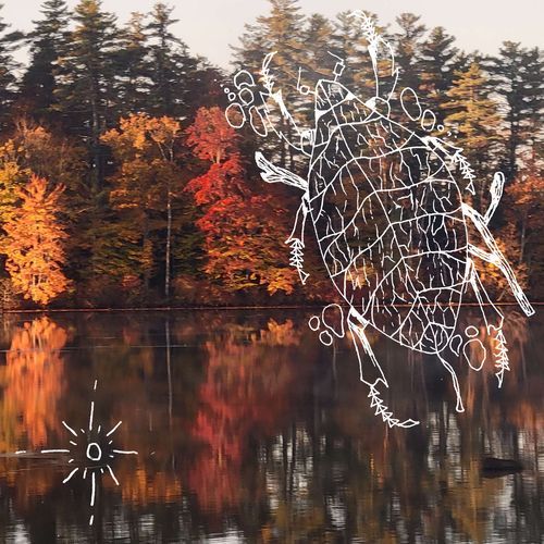 sinew cover art
